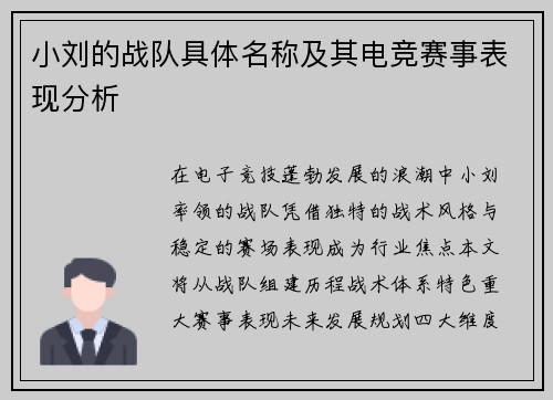 小刘的战队具体名称及其电竞赛事表现分析